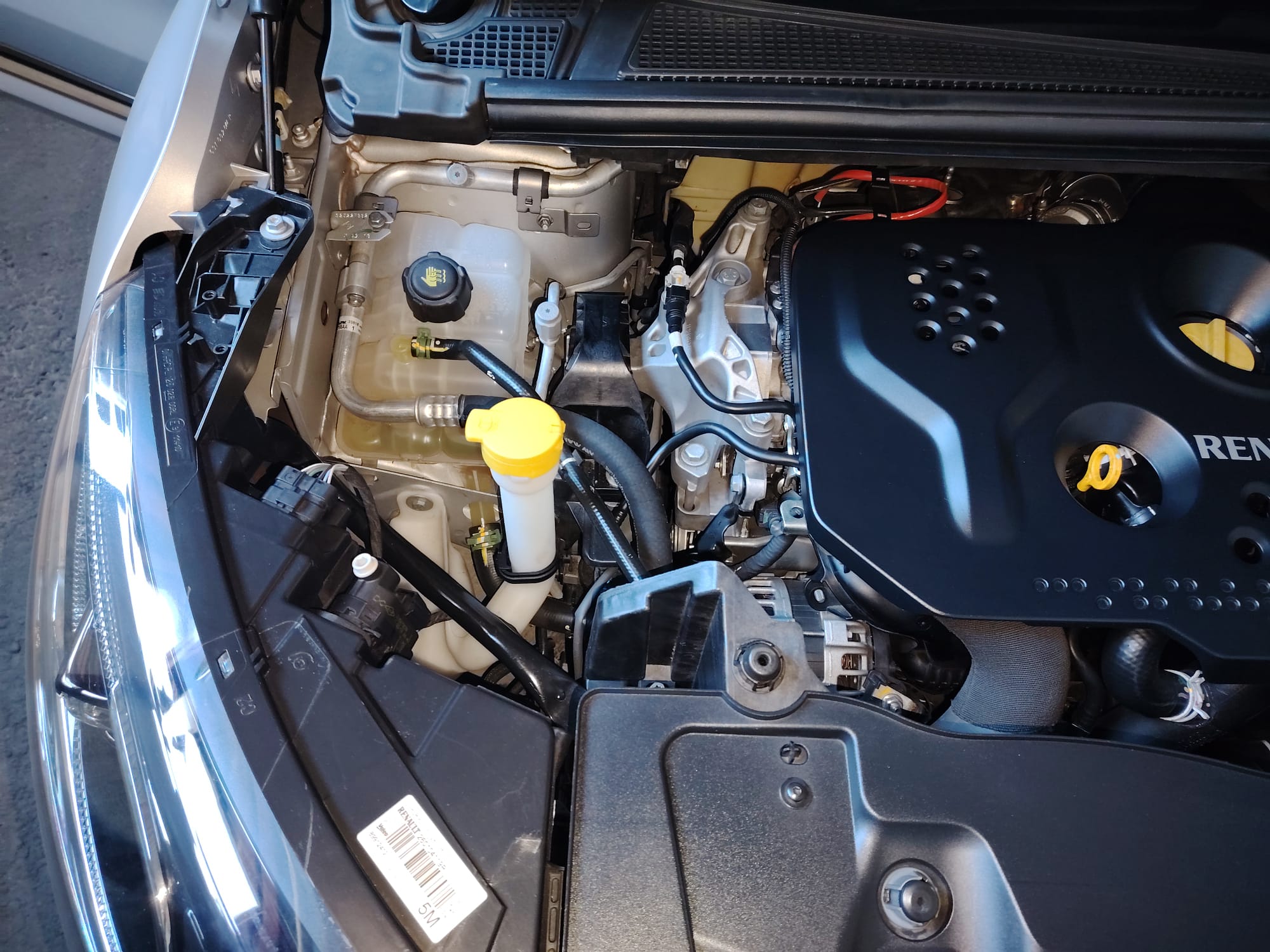 Motor